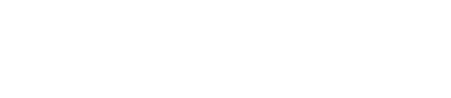 INDOXNXX Logo